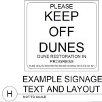 Beach And Dune Plants dunesign